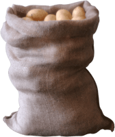 QTY 10 Christmas Santa Sacks Traditional Plain Hessian New 2020 Stock | Sackman | Sackman